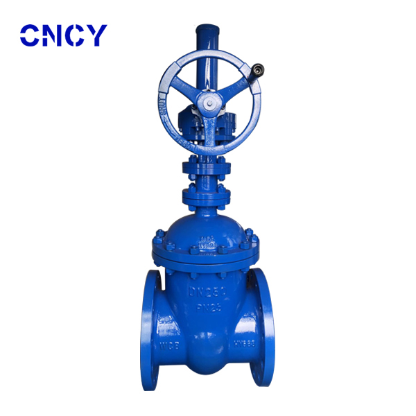 德標(biāo)暗桿閘閥Z545H-25C